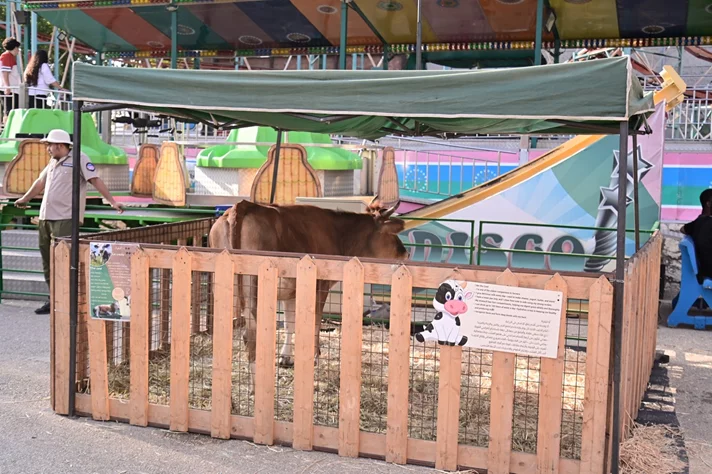 Dream Park Jungle Edition