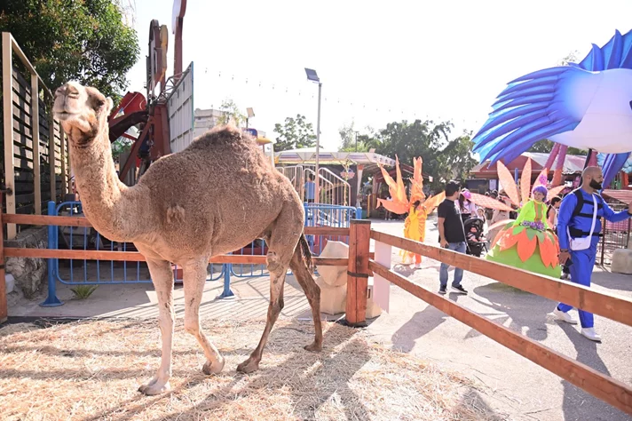 Dream Park Jungle Edition