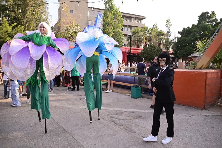 Dream Park Jungle Edition