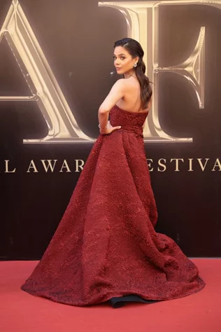 BIAF 2025