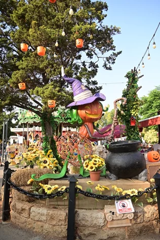 Halloween Vibes at Dream Park