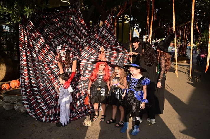 Halloween Vibes at Dream Park