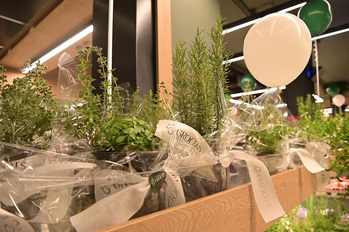 Grand Opening of Groots