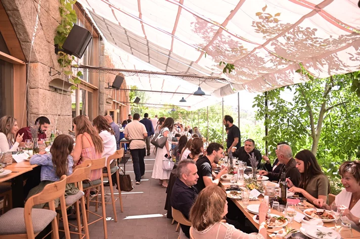 Joyceful Delight at SAYA – Massaya Winery