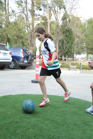 World Cup experience with Smart Home appliances