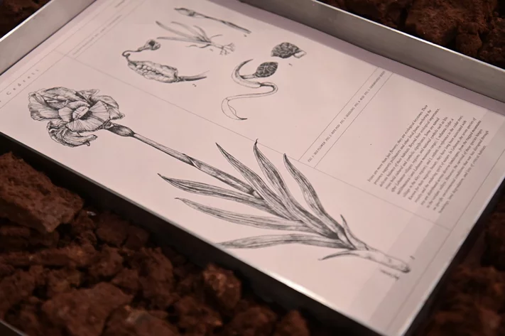 Opening Exhibition of The Land Remembers