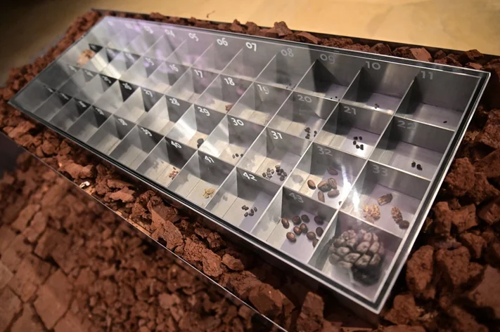 Opening Exhibition of The Land Remembers