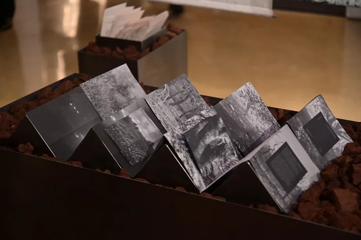 Opening Exhibition of The Land Remembers