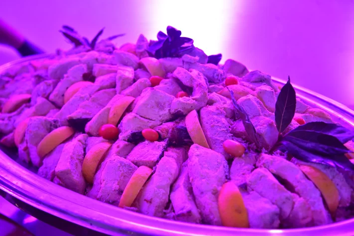 Esib USJ first annual Gala diner at Nuit Blanche Mansourieh