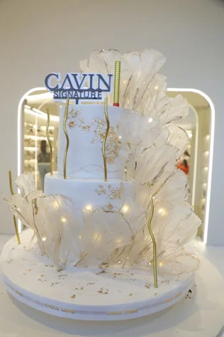 Opening of Cavin