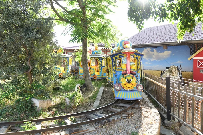Dream Park's Jungle Edition