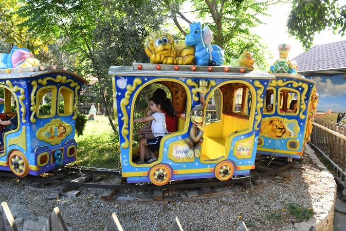 Dream Park's Jungle Edition