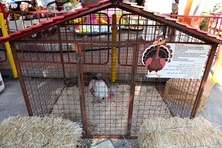 Dream Park's Jungle Edition