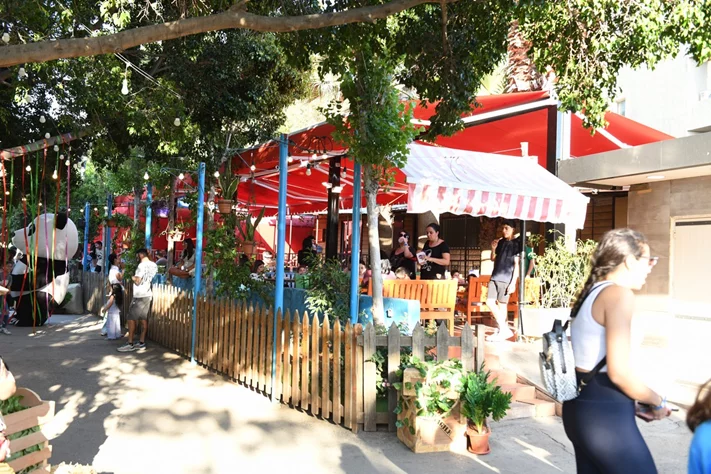 Dream Park's Jungle Edition