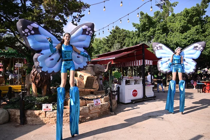 Dream Park Jungle Edition