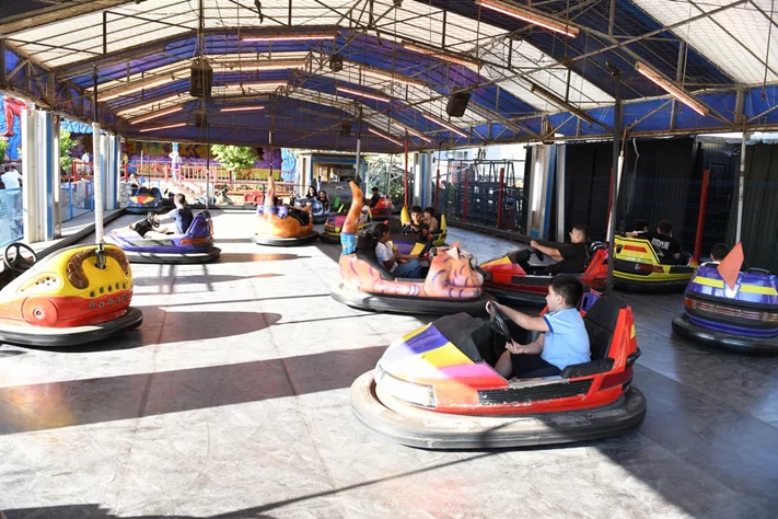 Dream Park's Jungle Edition