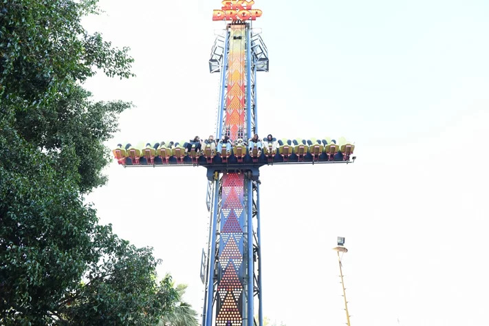 Dream Park's Jungle Edition