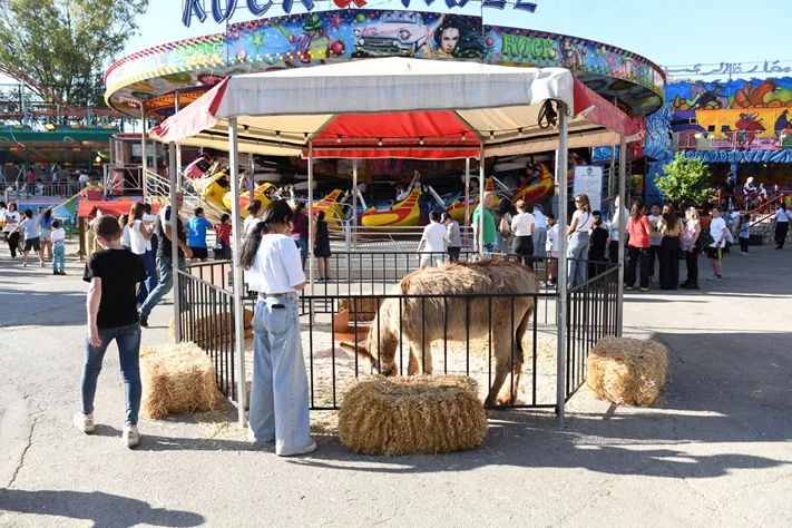 Dream Park's Jungle Edition