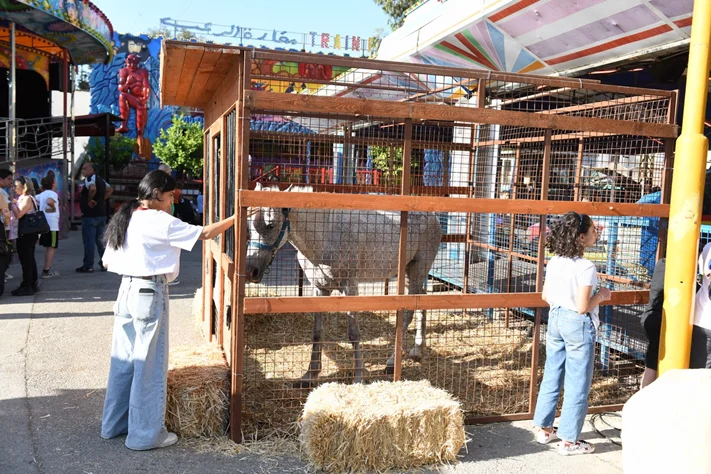 Dream Park's Jungle Edition