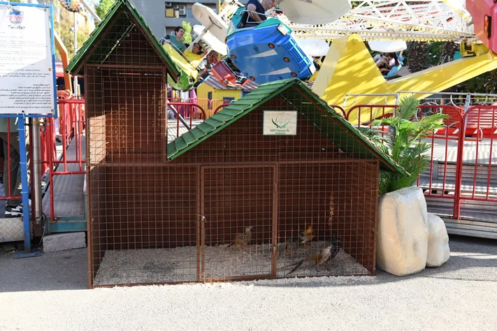 Dream Park's Jungle Edition