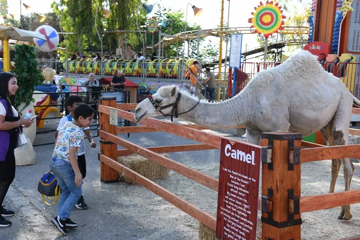 Dream Park's Jungle Edition