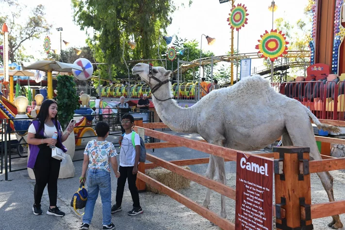 Dream Park's Jungle Edition