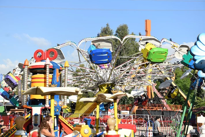 Dream Park's Jungle Edition