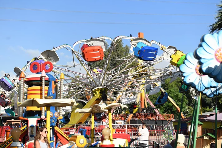 Dream Park's Jungle Edition