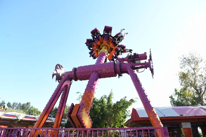 Dream Park's Jungle Edition