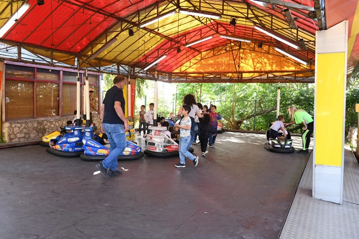 Dream Park's Jungle Edition