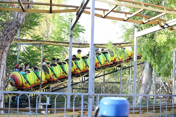 Dream Park's Jungle Edition