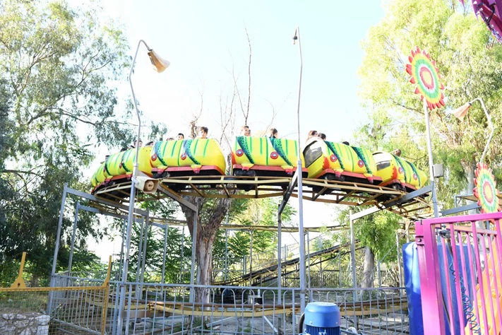 Dream Park's Jungle Edition