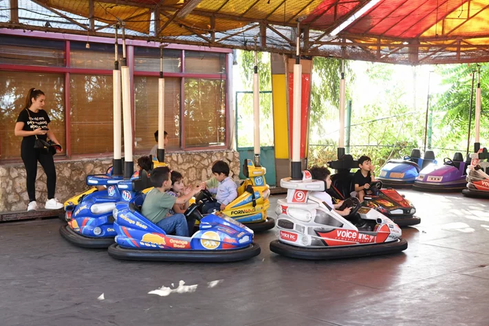 Dream Park's Jungle Edition