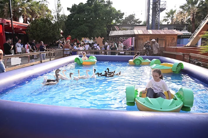 Dream Park Jungle Edition