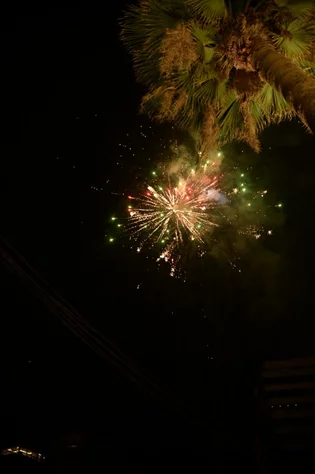 Opening of Salon Sami Idriss