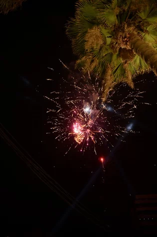 Opening of Salon Sami Idriss