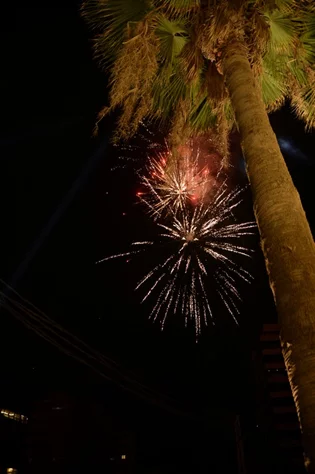 Opening of Salon Sami Idriss