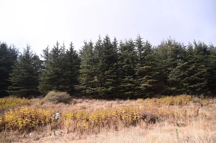 IPT and USEK Unite to Transform Waste into Energy