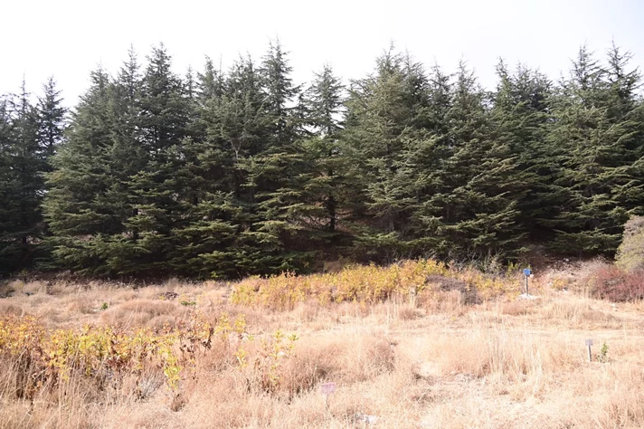 IPT and USEK Unite to Transform Waste into Energy