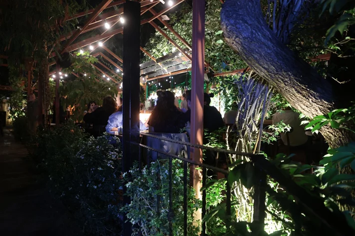 Ivy Social Club on Saturday Night