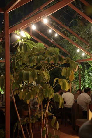 Ivy Social Club on Saturday Night