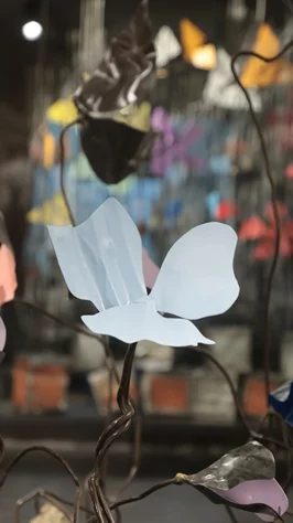 Madness of Hope, Safaa Alset’s solo Exhibition