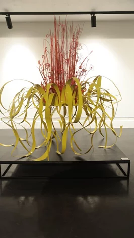 Madness of Hope, Safaa Alset’s solo Exhibition