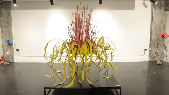 Madness of Hope, Safaa Alset’s solo Exhibition