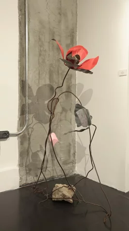 Madness of Hope, Safaa Alset’s solo Exhibition