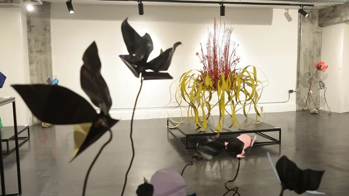 Madness of Hope, Safaa Alset’s solo Exhibition