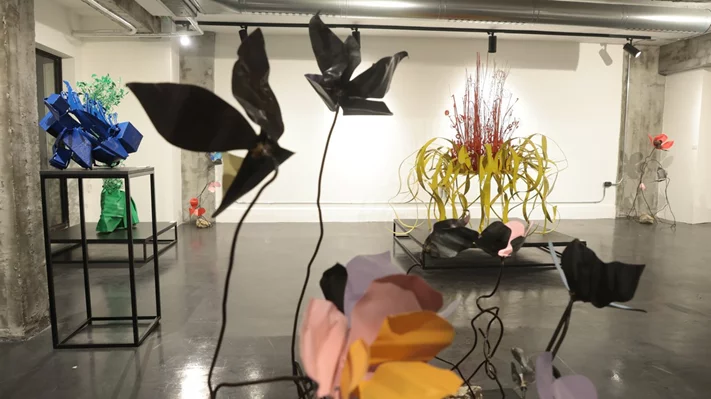 Madness of Hope, Safaa Alset’s solo Exhibition