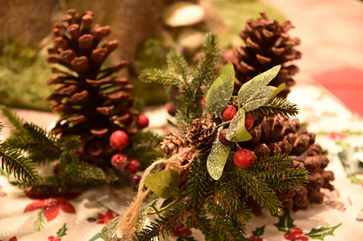 Christmas Collection at La Maison Khoury Home