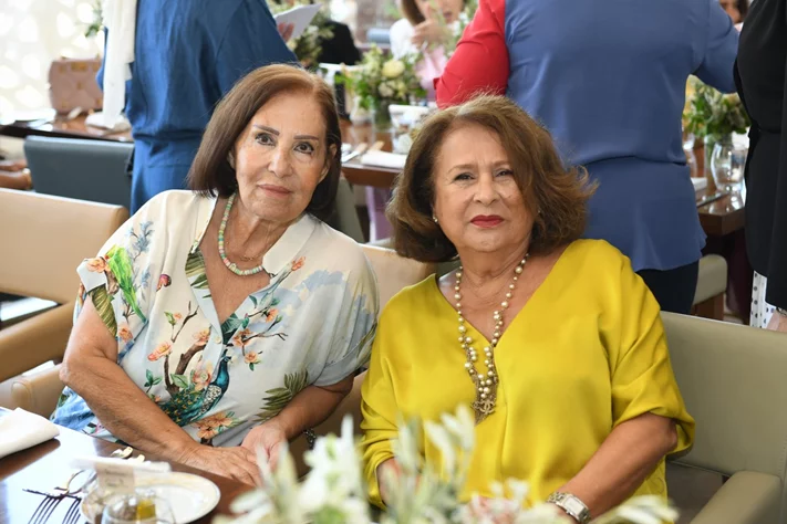 The south Woman Association in Lebanon
