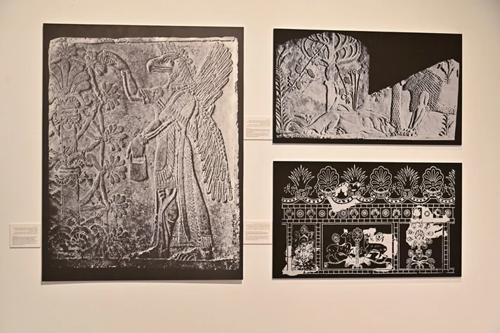 Launching of "Our Identity & Symbols" art Exhibition at Nabu Museum